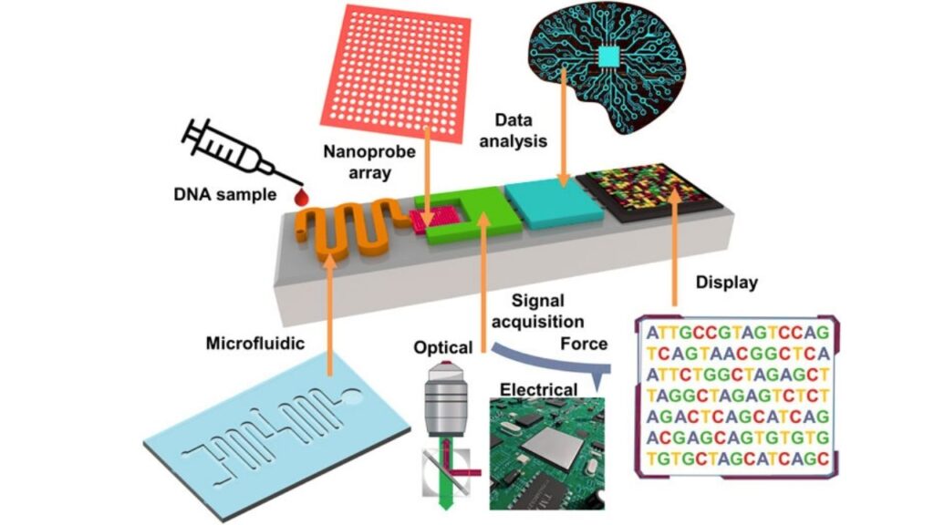 How Does Nanopore Sequencing Work