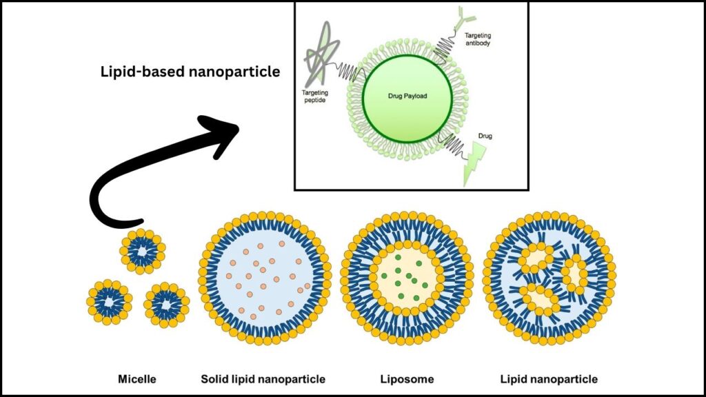 New Genetic Discovery Could Unlock Powerful Breakthroughs in Disease Treatment 4 Lipid Nanoparticles