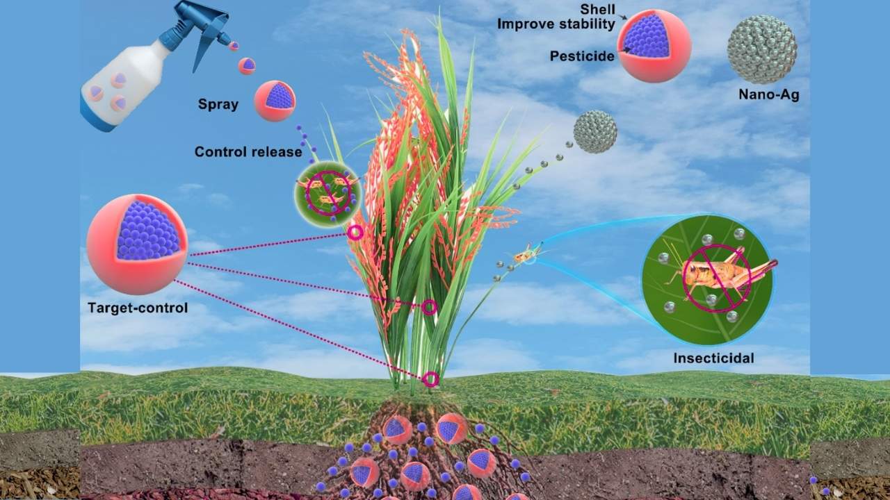 Nanotech-Enhanced Fertilizer