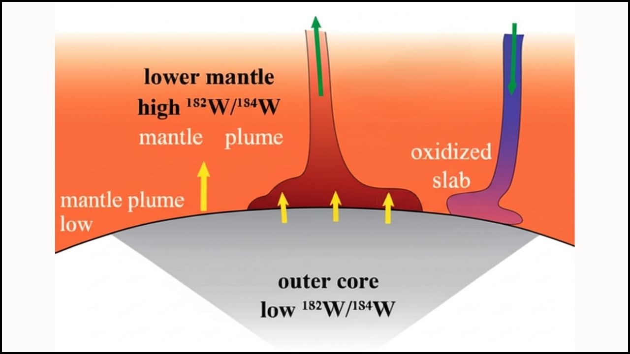 New Evidence Shows Earth's Mantle Plays a Key Role in Tungsten Formation