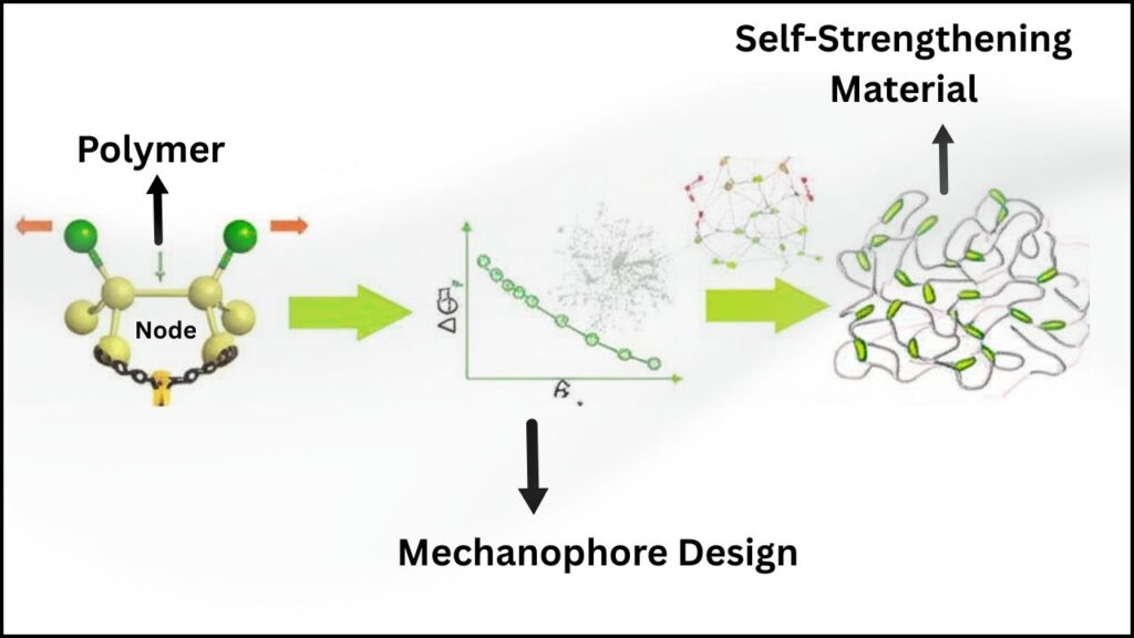 New Gel Polymer Mimics Muscle and Gains Strength With an Innovative Formula 1 New Gel Polymer Mimics Muscle and Gains Strength With an Innovative Formula