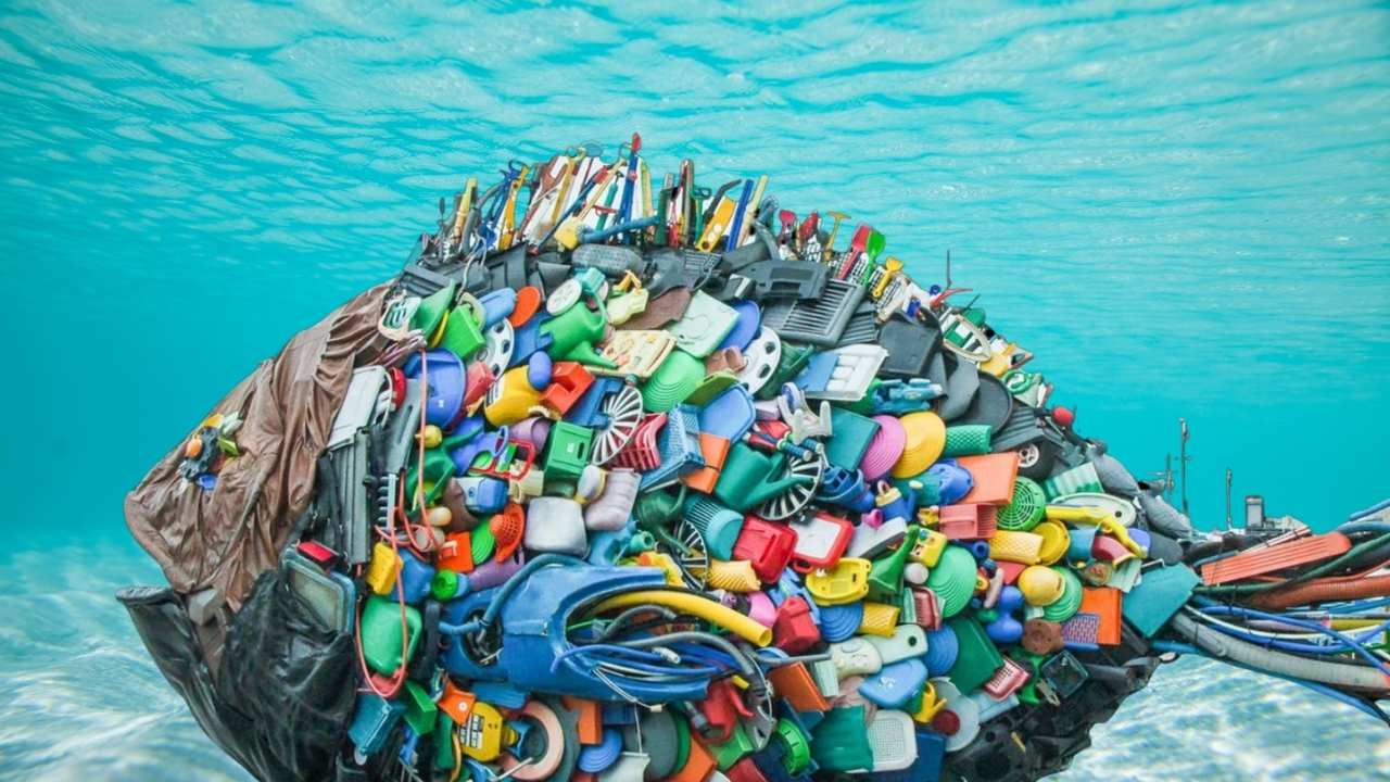 Plastic Recycling Is Broken