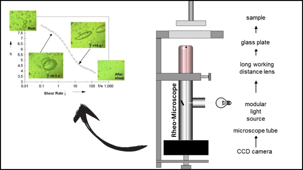 Breakthrough Discovery Reveals Surprising New Behaviors in Soft Materials 4 Rheo-Microscopy
