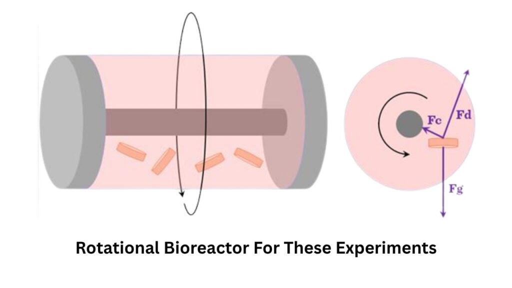 Goodbye, Plastic? Scientists Create Supermaterial That Outperforms Metal and Glass 4 Rotational Bioreactor