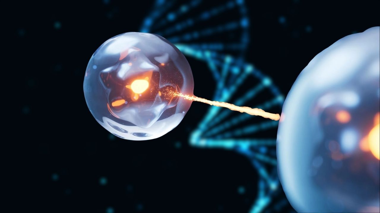 Scientists Rewrite a Material’s Magnetic DNA Using Light