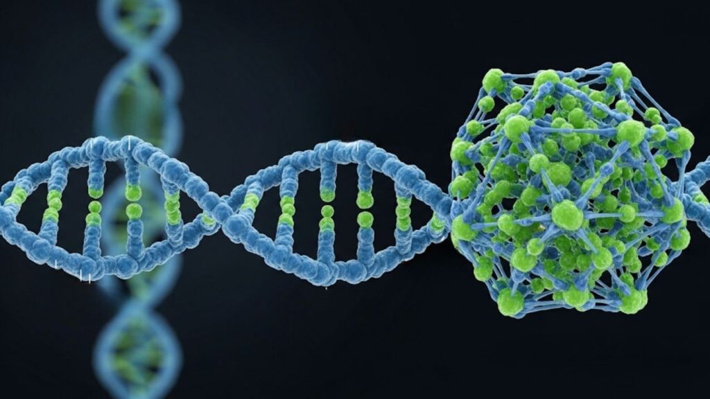 Scientists Use DNA as a Building Block 