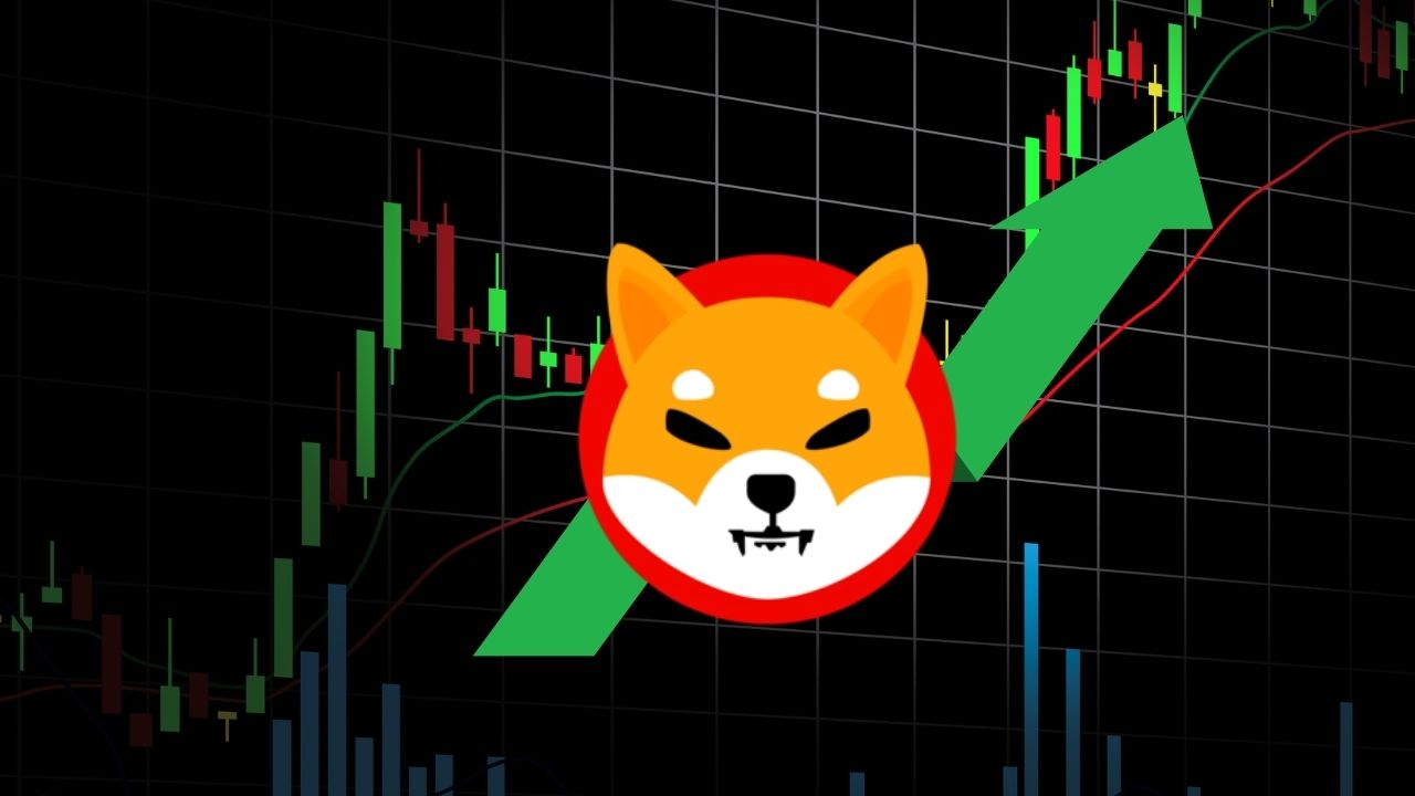 Shiba Inu Gains 0.804%