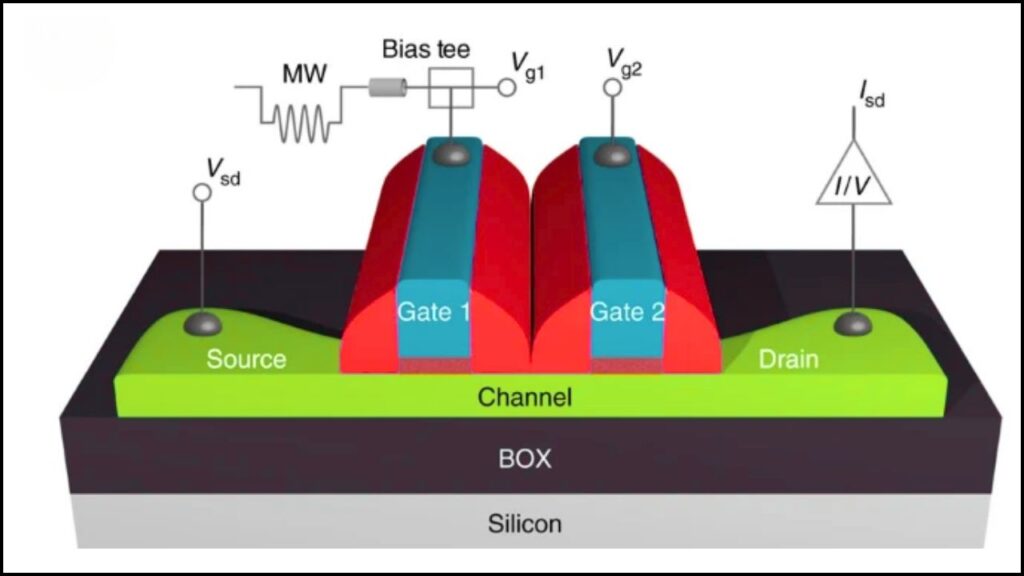 Canadian Scientists Just Cracked a Major Quantum Problem — Say Hello to Smarter Qubits 5 Silicon-based Spin Qubits