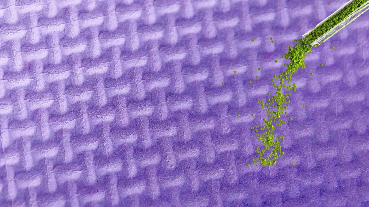 This New System Could Revolutionize How We Discover Polymer Materials