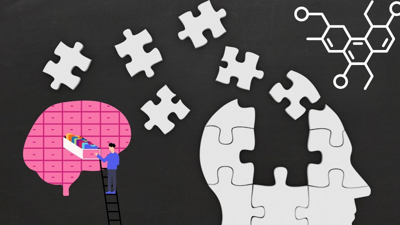 Tiny Molecular Bond Could Be the Key to How We Store Memories
