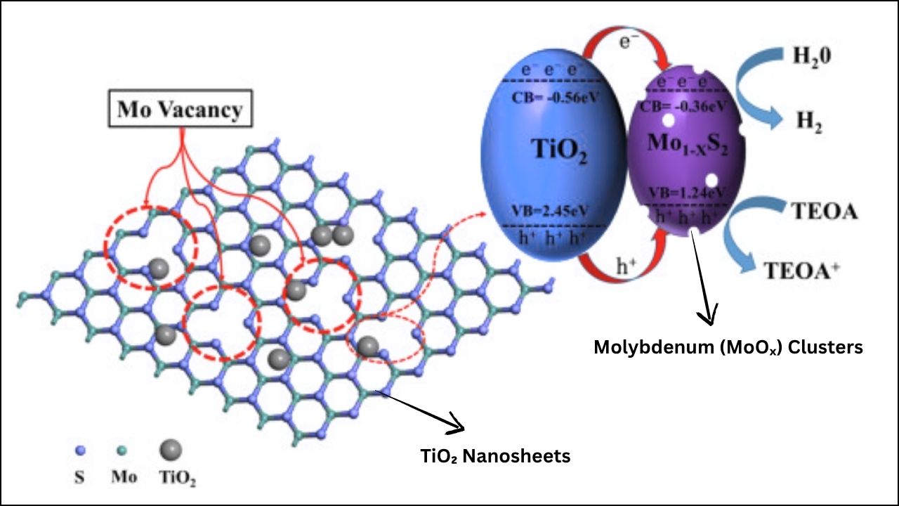 Tiny Molybdenum Clusters on TiO₂ Nanosheets Could Revolutionize Photocatalysis
