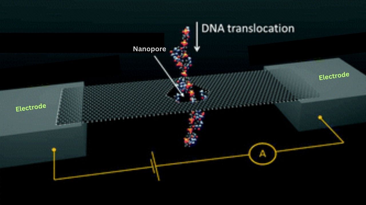 Tiny Nanopore Sensor