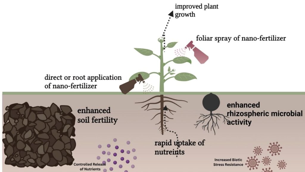 Types of Nano-Fertilizers and Their Applications