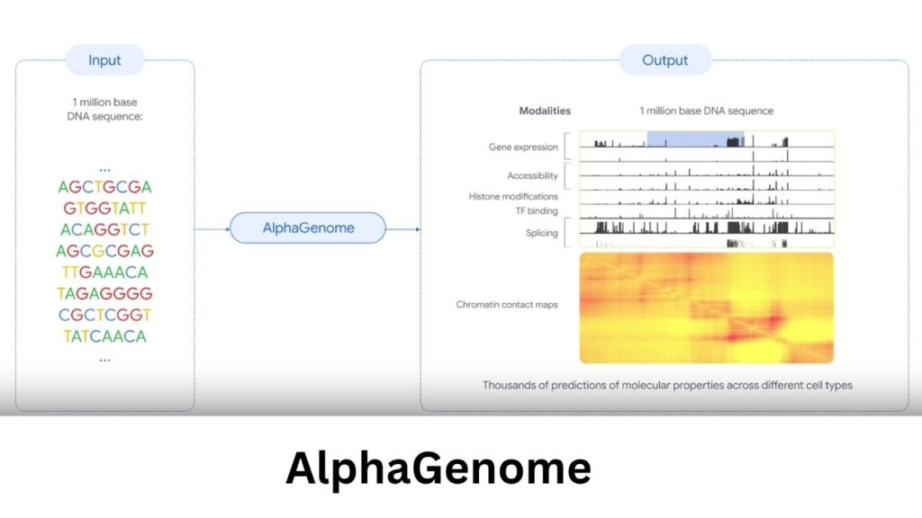 Google’s AlphaGenome AI Predicts Genetic Mutations With Unmatched Precision 2 What Is AlphaGenome and Why Is It Important