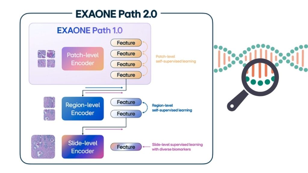 LG’s Exaone Path 2.0 Uses AI to Advance Precision in Genetic Testing 2 What Is Exaone Path 2.0 and How Does It Work