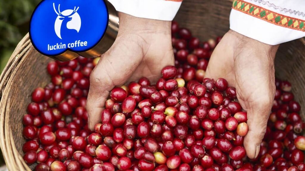 What Is Luckin Coffee A New Coffee Powerhouse