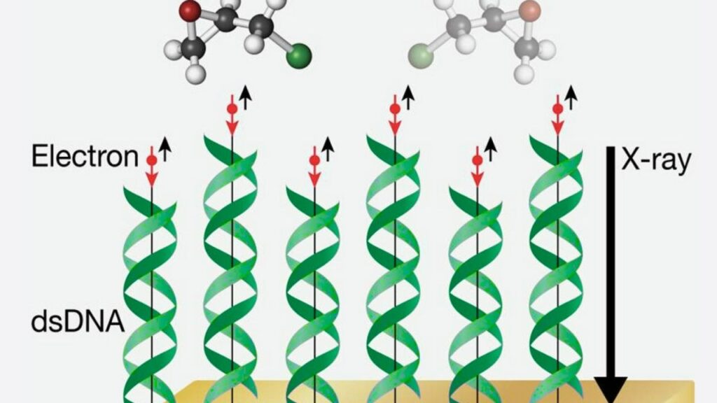 Scientists Rewrite a Material’s Magnetic DNA Using Light: A Groundbreaking Leap in Material Science 2 Magnetic DNA