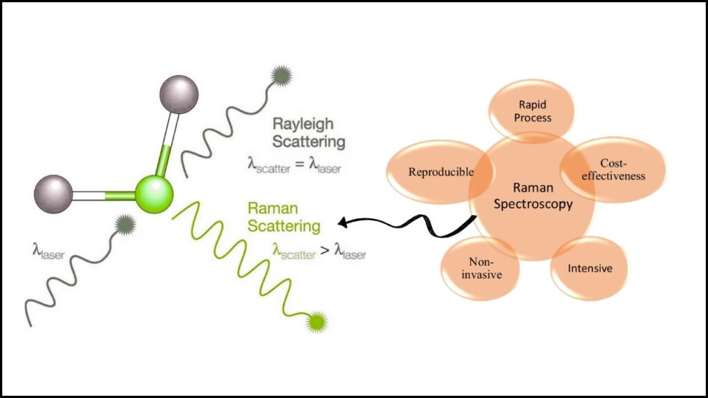 What Is Raman Spectroscopy and Why Is It Useful