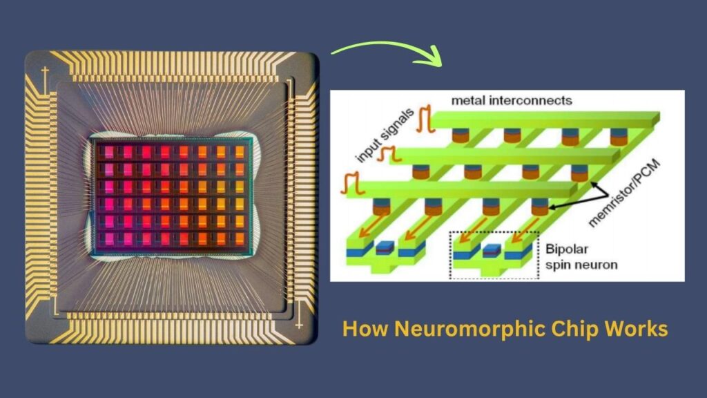 Israeli Scientists Reveal the World’s First Brain-Like AI Chip That Teaches Itself 2 What is Neuromorphic Chip and how it works