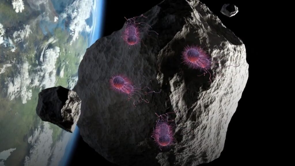 What is Panspermia