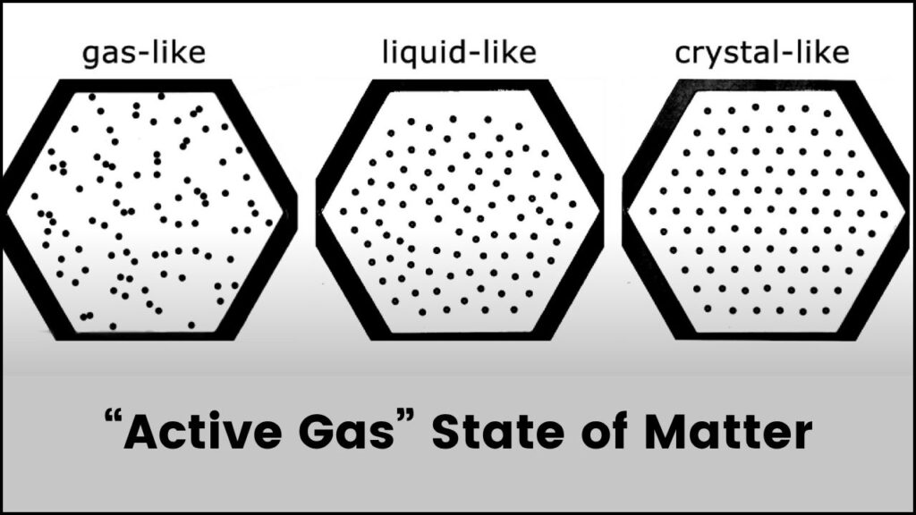 Physicists Discover Particles That Speed Up When Crushed Together: Unlocking a New State of Matter 2 “Active Gas” State of Matter