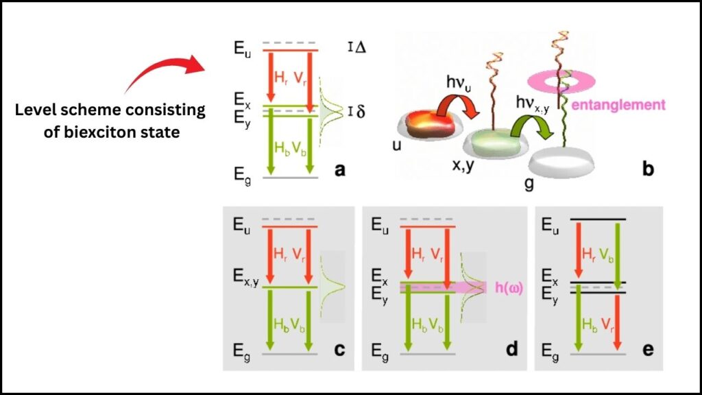 Biexciton State