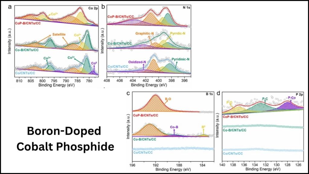 New Low-Cost Catalyst Discovered for Clean Hydrogen Energy: A Game-Changer for the Future 3 Boron-Doped Cobalt Phosphide