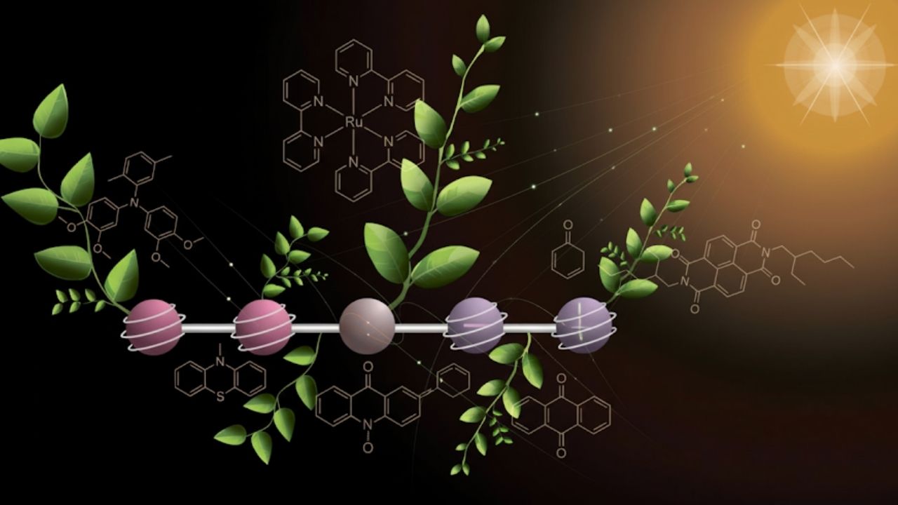 Breakthrough Molecule With Four Charges Could Supercharge Artificial Photosynthesis