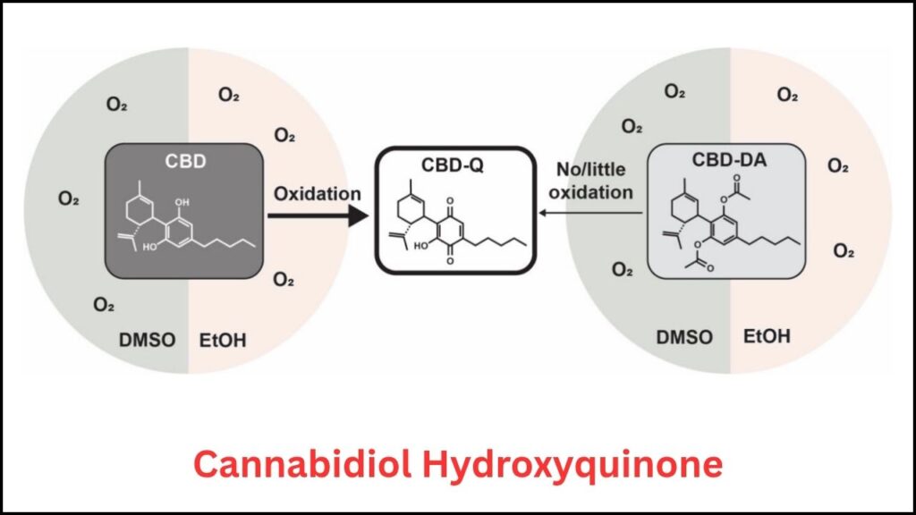 Vaping Warning: Scientists Find Chemical That Actively Destroys Human Tissue 4 CBD-Q