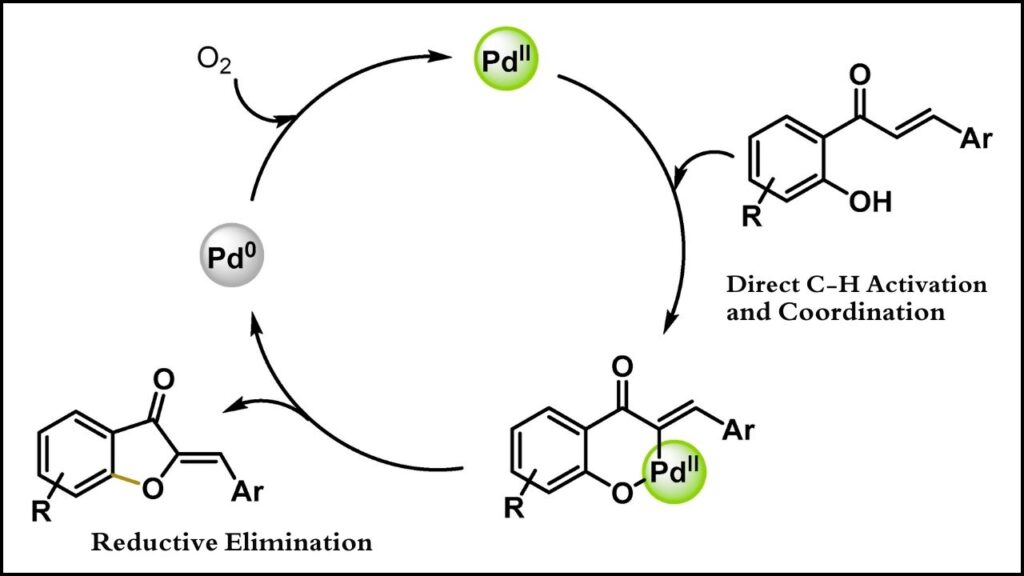 New MOF Catalyst Developed for Efficient C–O Cross Coupling Reactions 3 Carbon-oxygen (C–O) Bond Formation