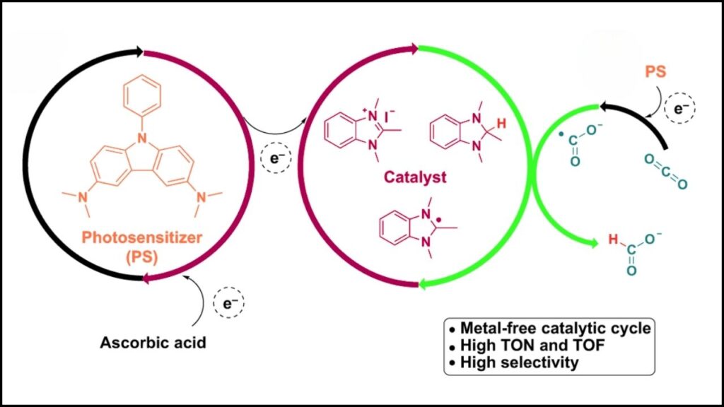 Enter Metal-Free Carbon Catalysts