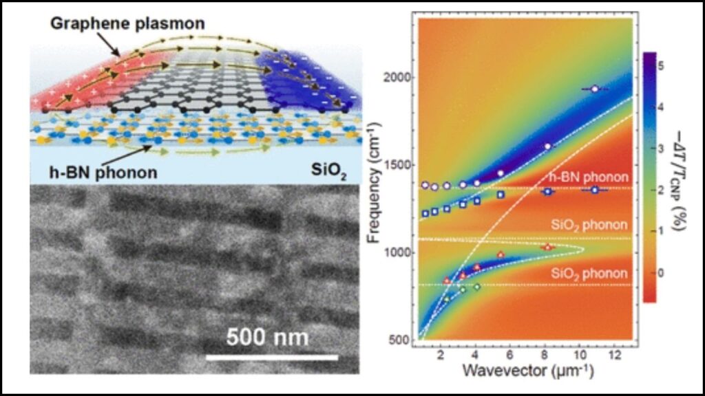 Graphene Plasmons and Phonon Polaritons