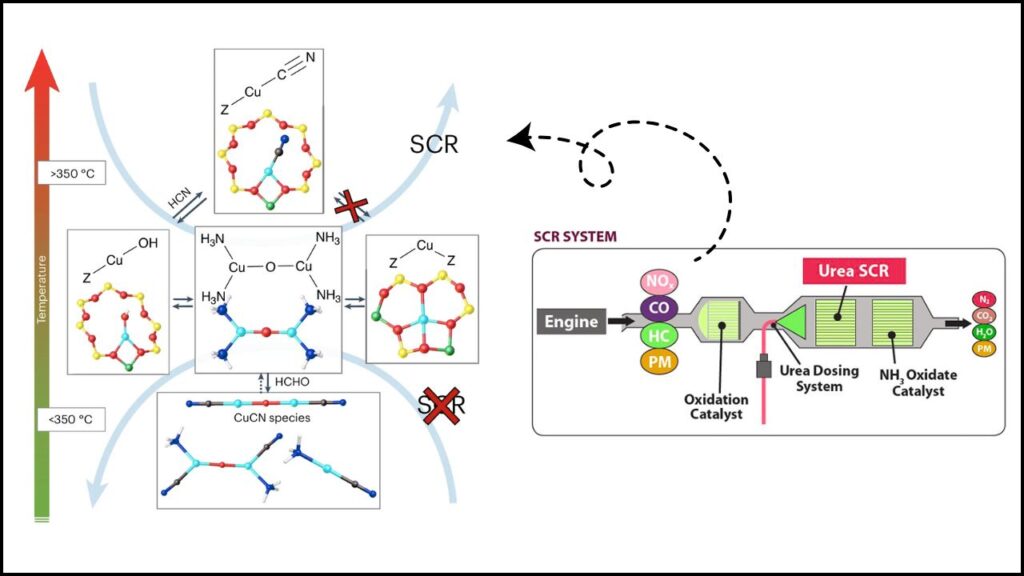 How Does the Cu-SSZ-13 Catalyst Work