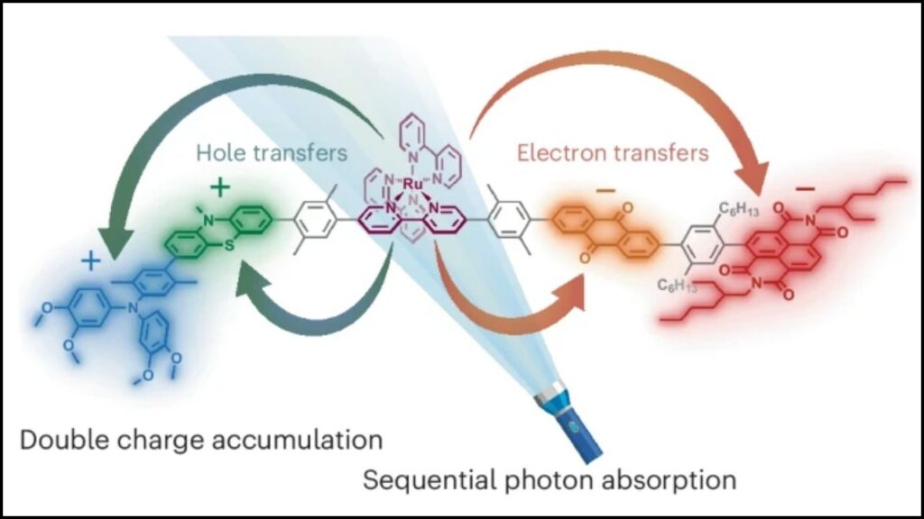 Breakthrough Molecule With Four Charges Could Supercharge Artificial Photosynthesis 3 How Does the Molecule Work?