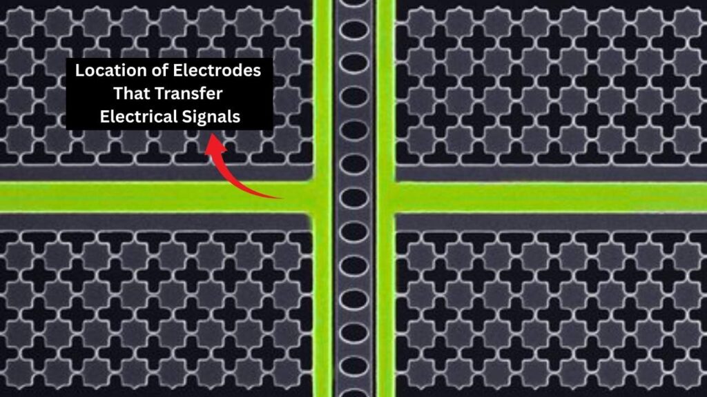 Sound Waves May Hold the Key to Practical Quantum Computers 5 How Sound Waves Store Quantum Information