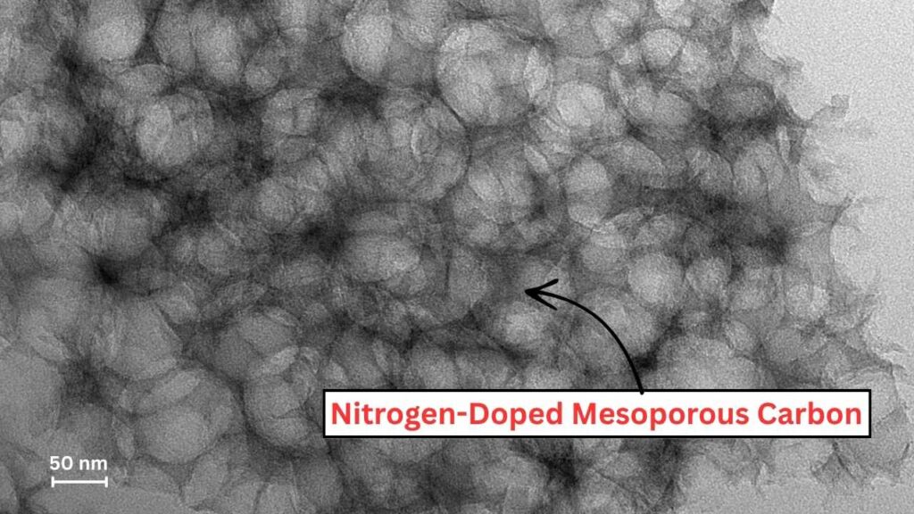 New Carbon Catalyst Could Revolutionize Biodiesel 