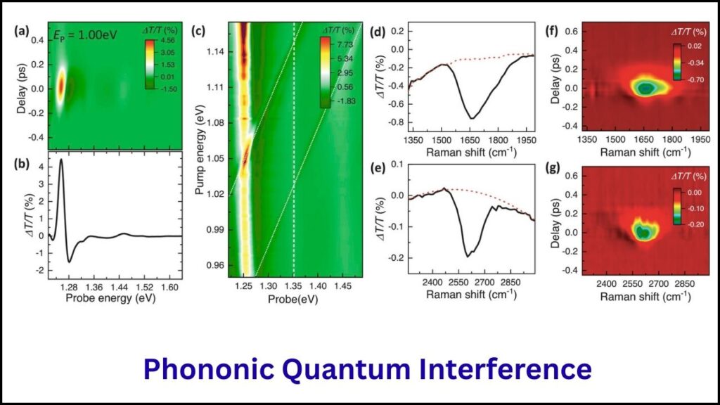 Phononic Quantum Interference