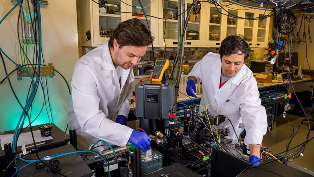 Scientists Create First-Ever Protein Qubit Inside a Living Cell