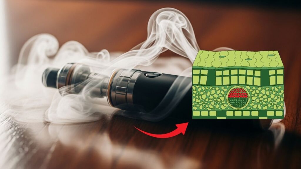 Vaping Warning: Scientists Find Chemical That Actively Destroys Human Tissue 1 Scientists Find Chemical That Actively Destroys Human Tissue