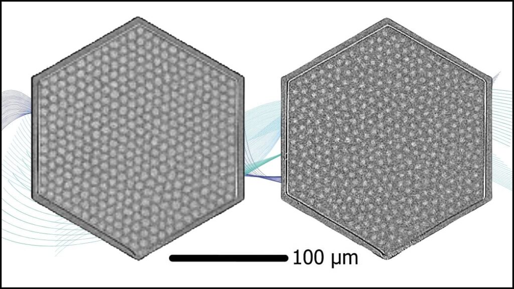 Magnetic Breakthrough: Scientists Watch Skyrmion Lattices Melt in Real Time 1 Scientists Watch Skyrmion Lattices Melt in Real Time