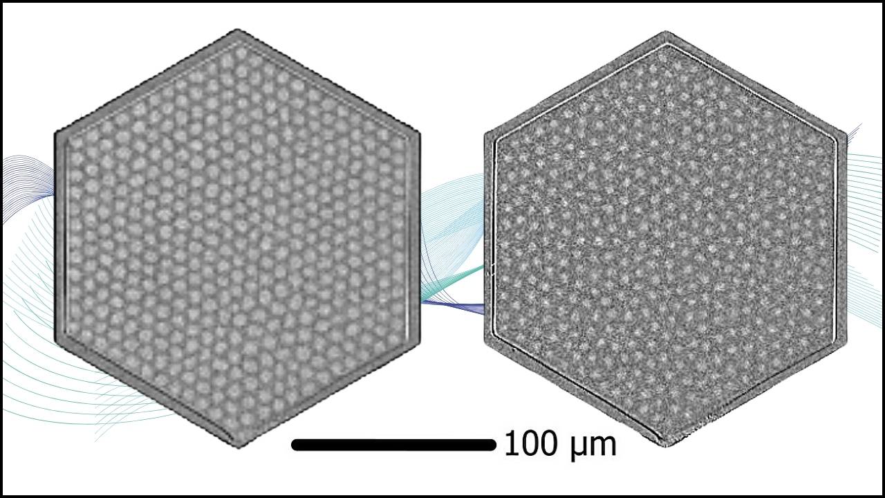 Scientists Watch Skyrmion Lattices Melt in Real Time