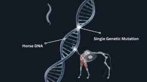 The Single Genetic Mutation That May Have Made Horses Rideable