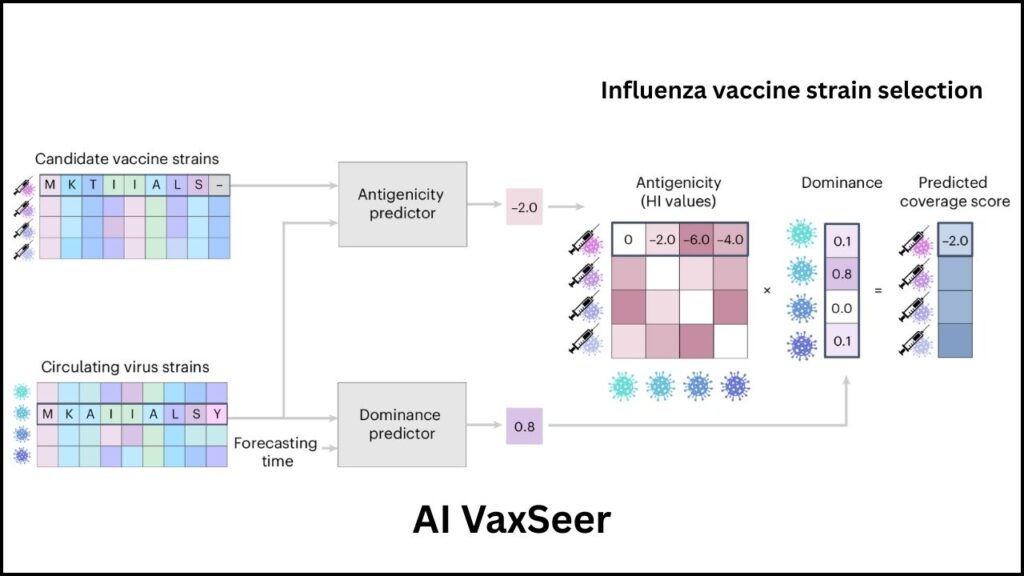 How MIT’s New AI VaxSeer Could Change How Flu Vaccines Are Made Forever 2 What is VaxSeer
