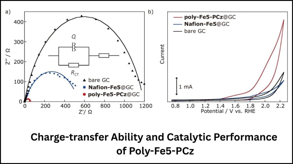 This Tiny Iron Catalyst Could Revolutionize the Future of Clean Energy 3 poly-Fe5-PCz Catalyst