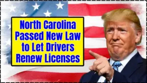 North Carolina Passed New Law to Let Drivers Renew Licenses Without Visiting the DMV: Check Details 5 New Law to Let Drivers Renew Licenses