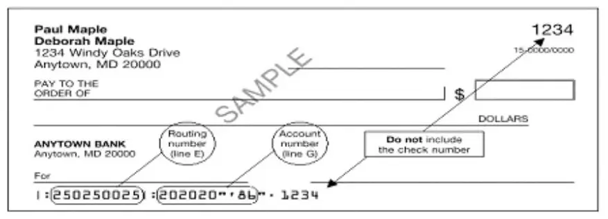 Sample IRS Relief Payment Check