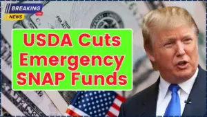 USDA Cuts Emergency SNAP Funds—Here’s What It Means for Families Counting on Food Assistance 7 USDA Cuts Emergency SNAP Funds